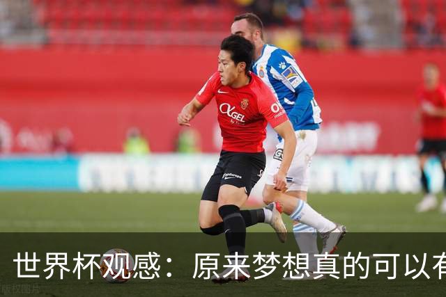 世界杯观感：原来梦想真的可以有，只是国足无力实现