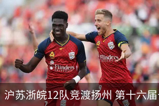 沪苏浙皖12队竞渡扬州 第十六届长三角龙舟赛擂鼓开桨